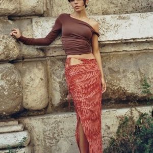 Zara Printed Tulle Skirt